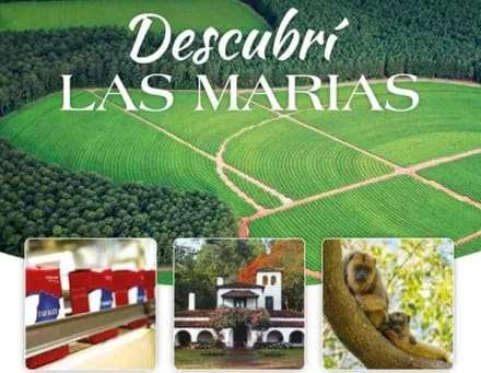 La empresa correntina Las Marías, dedicada a la producción de yerba mate y té, ofrece visitas guiadas gratuitas